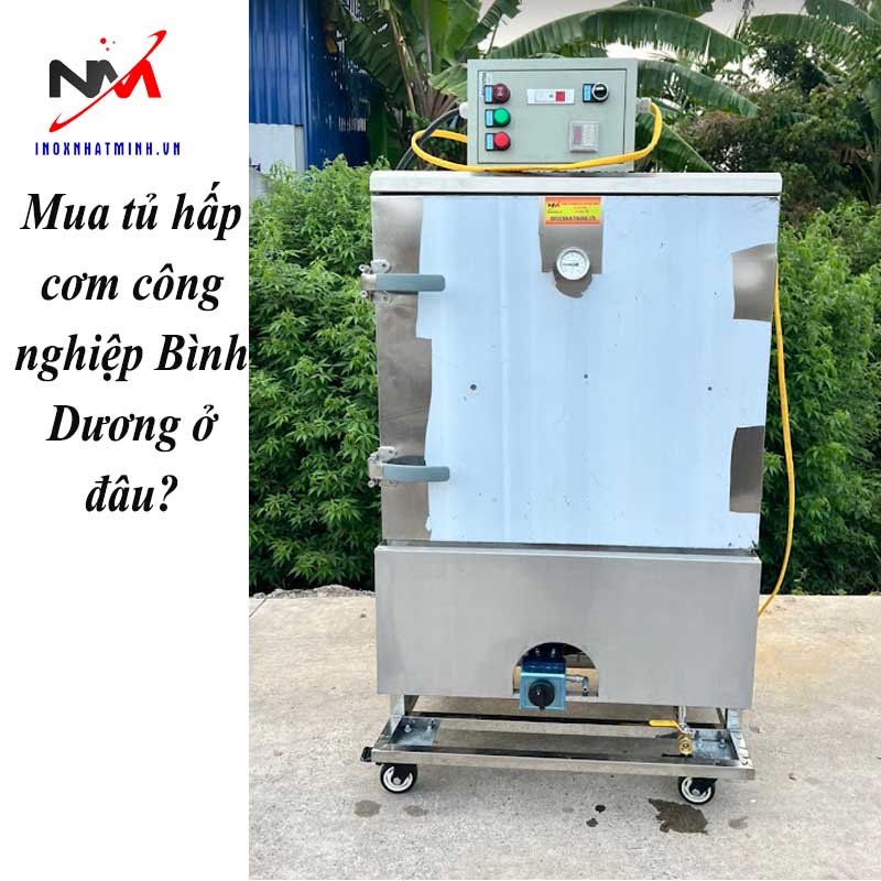 Mua tủ hấp cơm công nghiệp Bình Dương ở đâu?